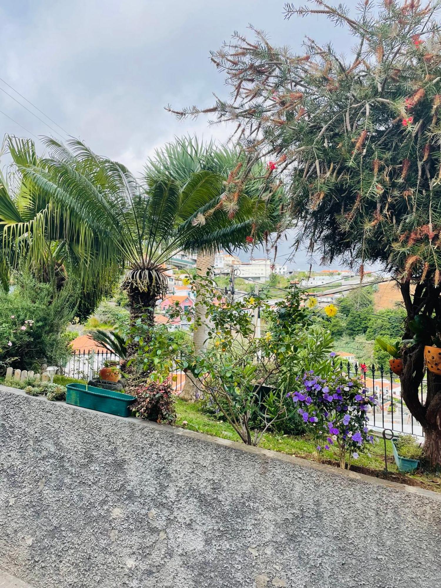 فندق Cozy House فونشال المظهر الخارجي الصورة