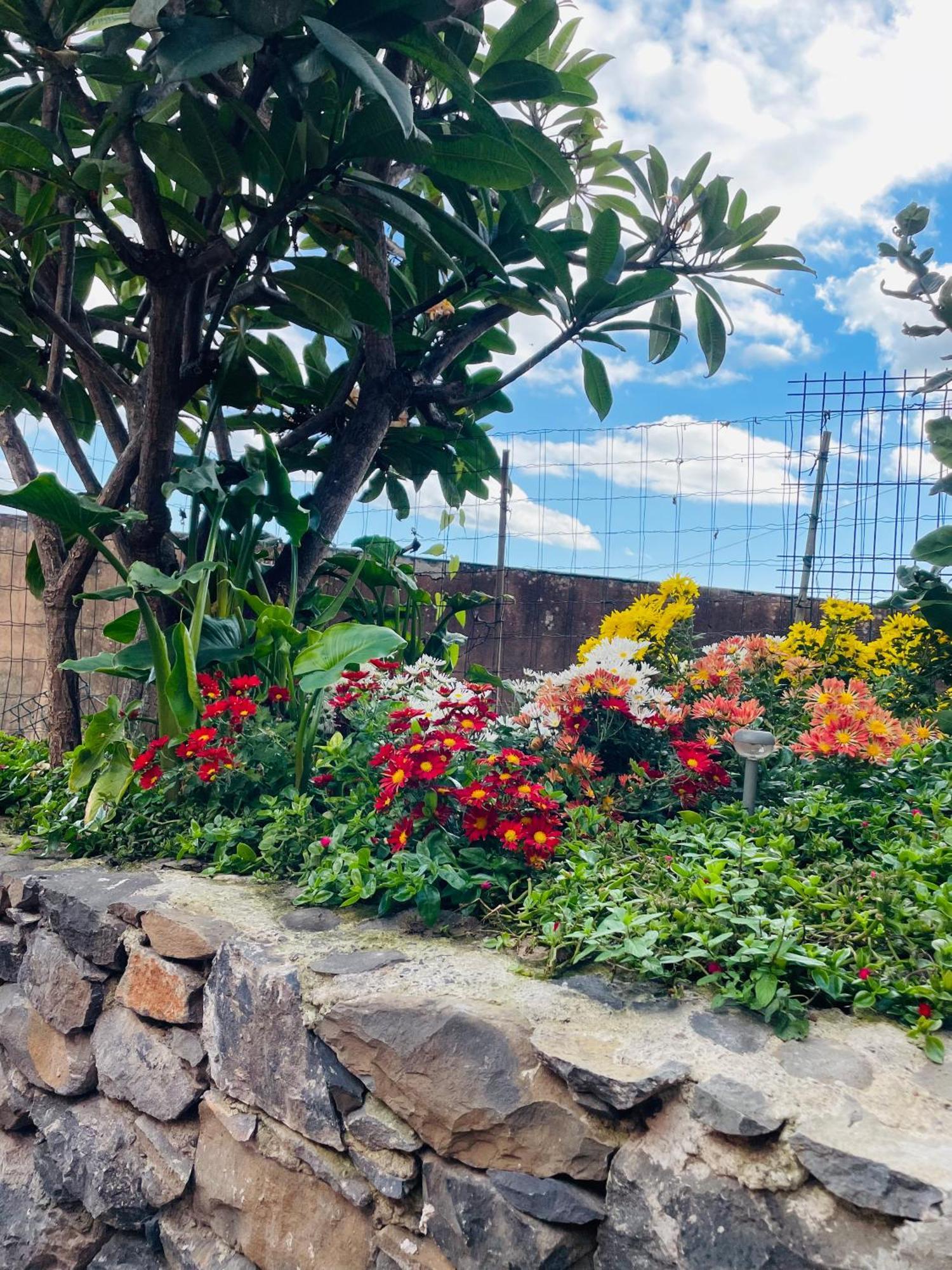 فندق Cozy House فونشال المظهر الخارجي الصورة