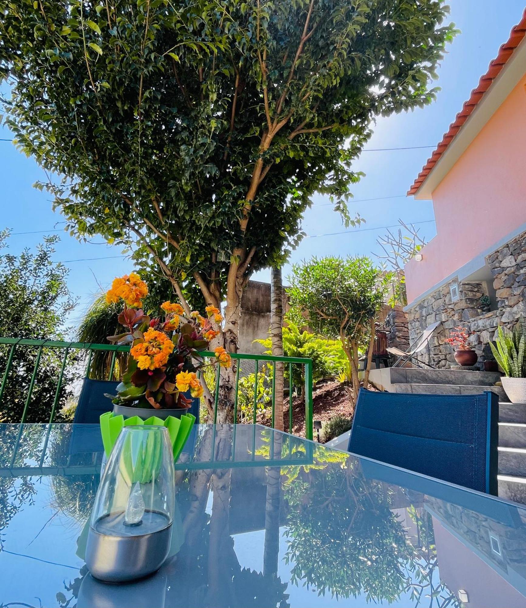فندق Cozy House فونشال المظهر الخارجي الصورة